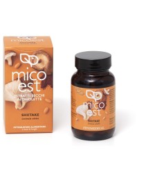 SHIITAKE ES 60TAV