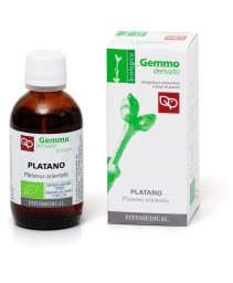 PLATANO GD  50ML BIO