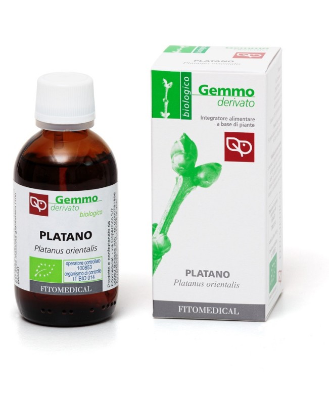 PLATANO GD  50ML BIO