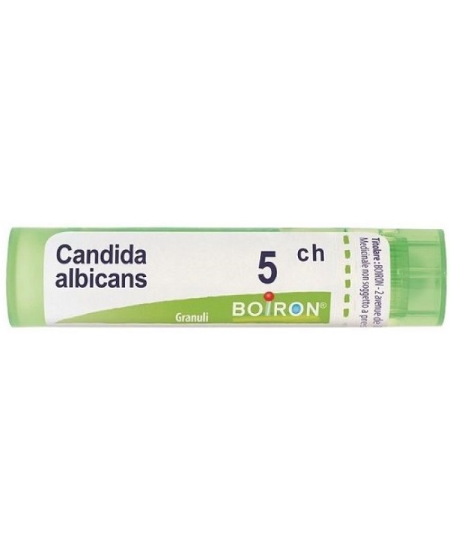 CANDIDA ALBICANS*GRAN 5CH CANDIDA ALBICANS*GRAN 5CH