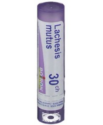 LACHESIS MUTUS*GRAN 30CH