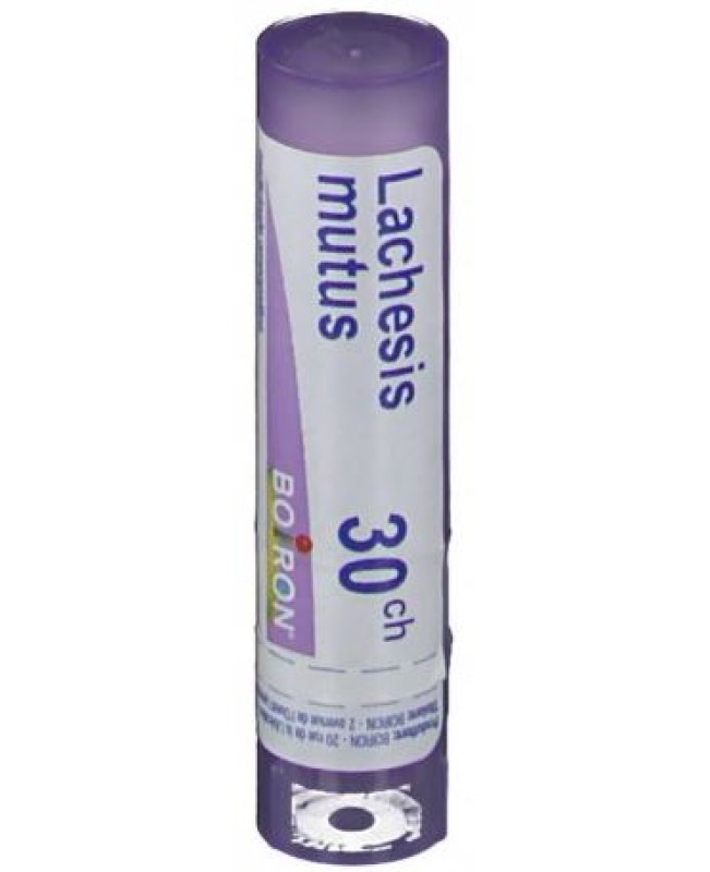 LACHESIS MUTUS*GRAN 30CH LACHESIS MUTUS*GRAN 30CH