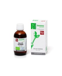 SALICE GEMME GD 100ML BIO