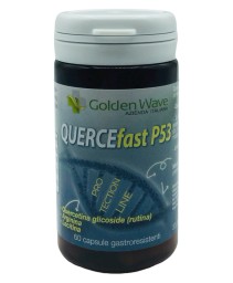 QUERCEFAST P53 60CPS GASTRO