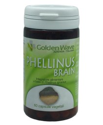 PHELLINUS BRAIN 60CPS VEGETALI PHELLINUS BRAIN 60CPS VEGETALI
