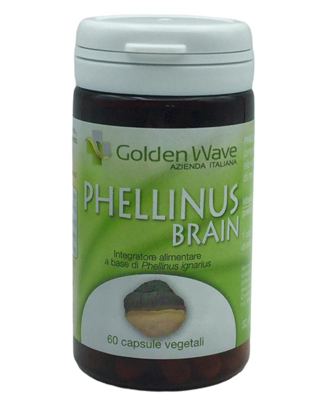 PHELLINUS BRAIN 60CPS VEGETALI
