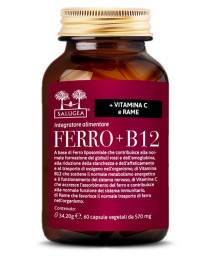 FERRO+B12 60CPS