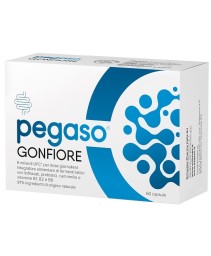 PEGASO GONFIORE 60CPS PEGASO GONFIORE 60CPS