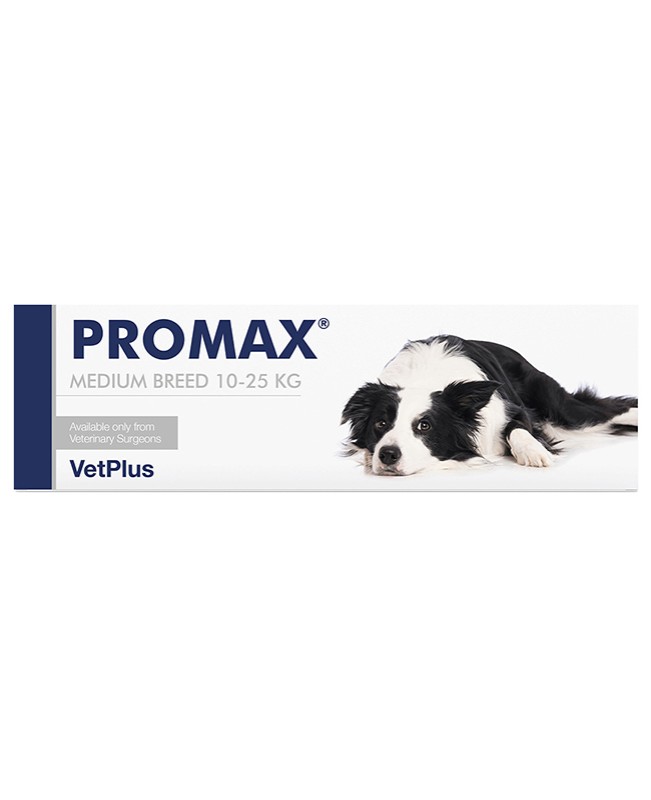 PROMAX MEDIUM BREED SIRINGA 18 ML PROMAX MEDIUM BREED SIRINGA 18 ML