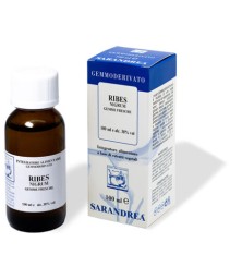 RIBES NIGRUM MG 100ML