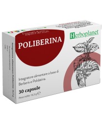 POLIBERINA 30CPR