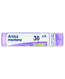ARNICA MONTANA*GLOB 30CH