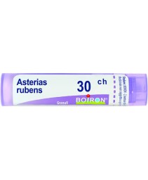 ASTERIAS RUBENS*GRAN 30CH