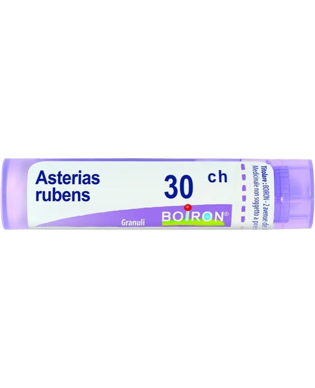 ASTERIAS RUBENS*GRAN 30CH ASTERIAS RUBENS*GRAN 30CH