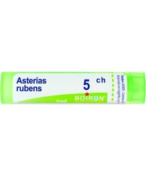 ASTERIAS RUBENS*GRAN 5CH