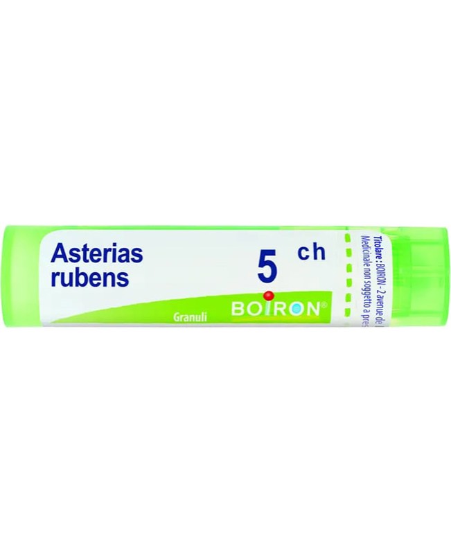 ASTERIAS RUBENS*GRAN 5CH ASTERIAS RUBENS*GRAN 5CH