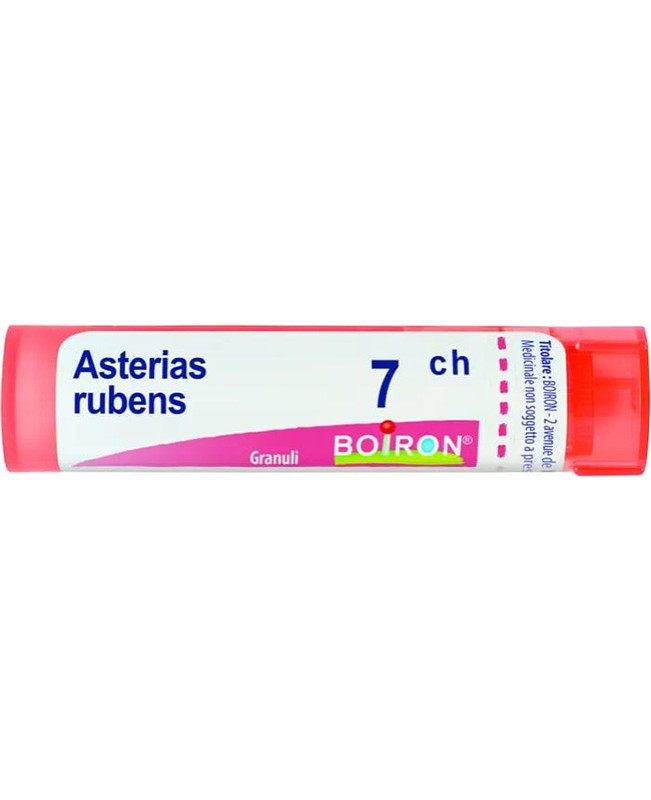 ASTERIAS RUBENS*GRAN 7CH ASTERIAS RUBENS*GRAN 7CH
