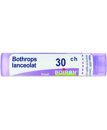 BOTHROPS LANCEOLATUS*GRAN 30CH