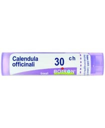 CALENDULA OFF*GRAN 30CH