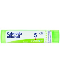 CALENDULA OFF*GRAN 5CH