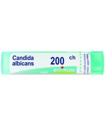 CANDIDA ALBICANS*GRAN 200CH