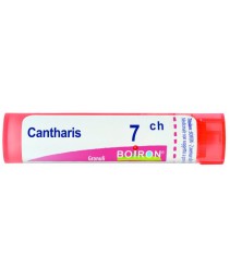 CANTHARIS*GRAN 7CH