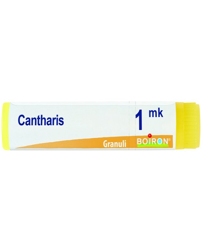 CANTHARIS*GLOB MK CANTHARIS*GLOB MK