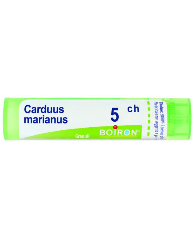 CARDUUS MARIANUS*GRAN 5CH CARDUUS MARIANUS*GRAN 5CH