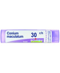 CONIUM MACULATUM*GRAN 30CH