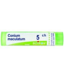 CONIUM MACULATUM*GRAN 5CH