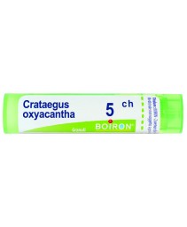 CRATAEGUS OXYACANTHA*GRAN 5CH