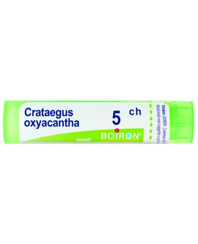 CRATAEGUS OXYACANTHA*GRAN 5CH CRATAEGUS OXYACANTHA*GRAN 5CH