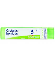 CROTALUS HORRIDUS*GRAN 5CH