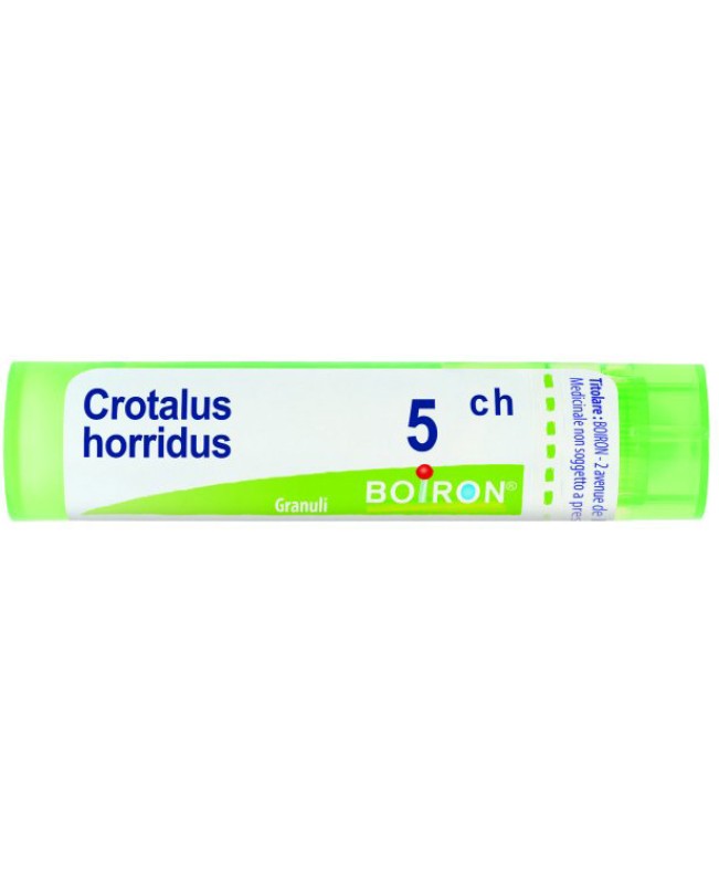 CROTALUS HORRIDUS*GRAN 5CH CROTALUS HORRIDUS*GRAN 5CH