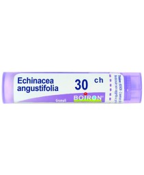 ECHINACEA ANGUSTIF*GRAN 30CH
