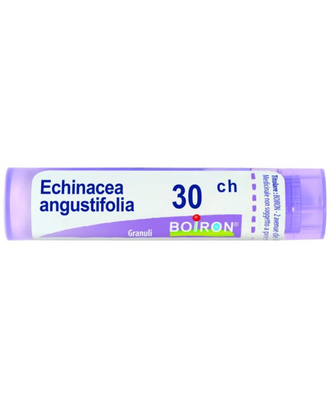 ECHINACEA ANGUSTIF*GRAN 30CH ECHINACEA ANGUSTIF*GRAN 30CH