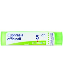 EUPHRASIA OFF*GRAN 5CH
