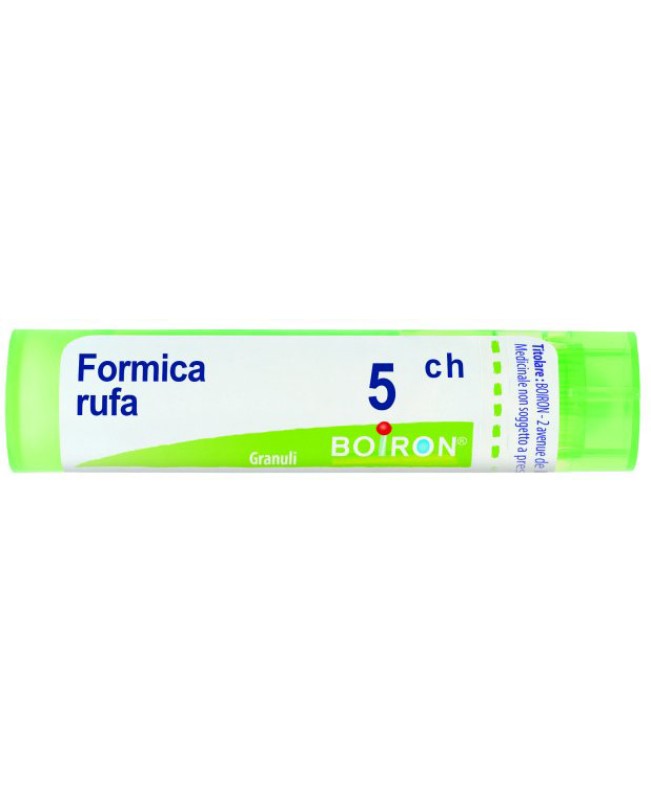 FORMICA RUFA*GRAN 5CH FORMICA RUFA*GRAN 5CH