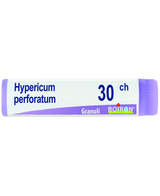 HYPERICUM PERFORATUM*GLOB 30CH HYPERICUM PERFORATUM*GLOB 30CH