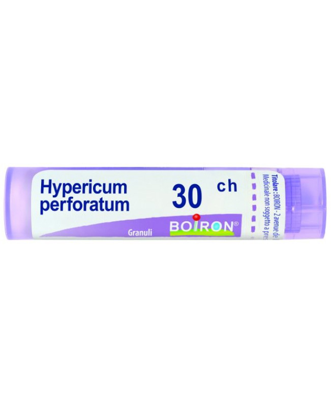 HYPERICUM PERFORATUM*GRAN 30CH HYPERICUM PERFORATUM*GRAN 30CH