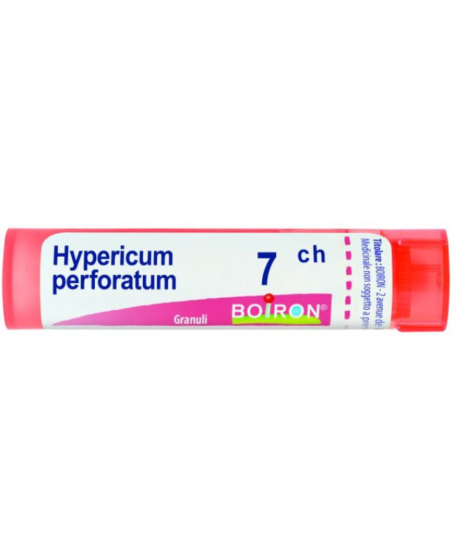 HYPERICUM PERFORATUM*GRAN 7CH HYPERICUM PERFORATUM*GRAN 7CH