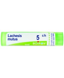 LACHESIS MUTUS*GRAN 5CH