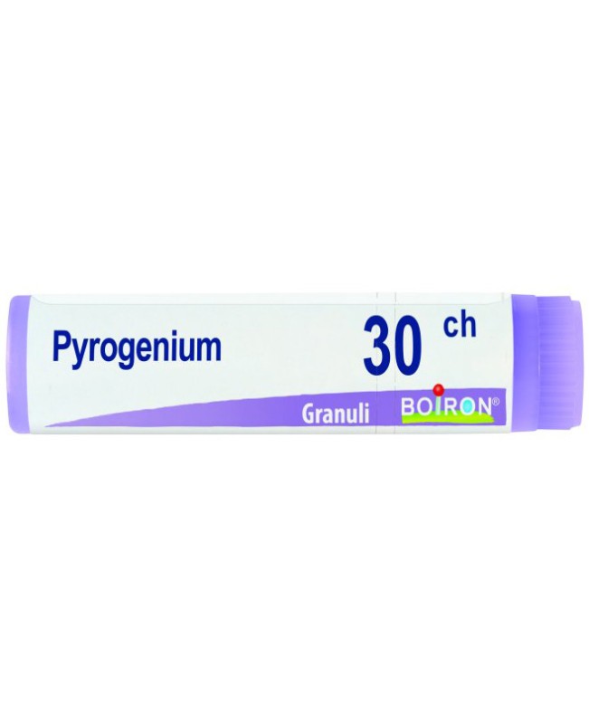 PYROGENIUM*GLOB 30CH PYROGENIUM*GLOB 30CH