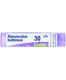 RANUNCULUS BULBOSUS*GRAN 30CH