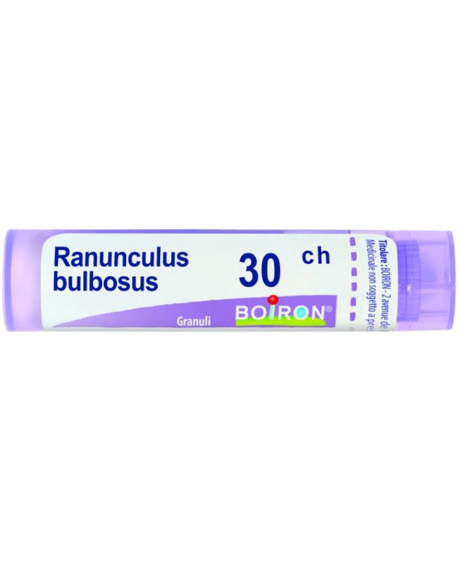 RANUNCULUS BULBOSUS*GRAN 30CH