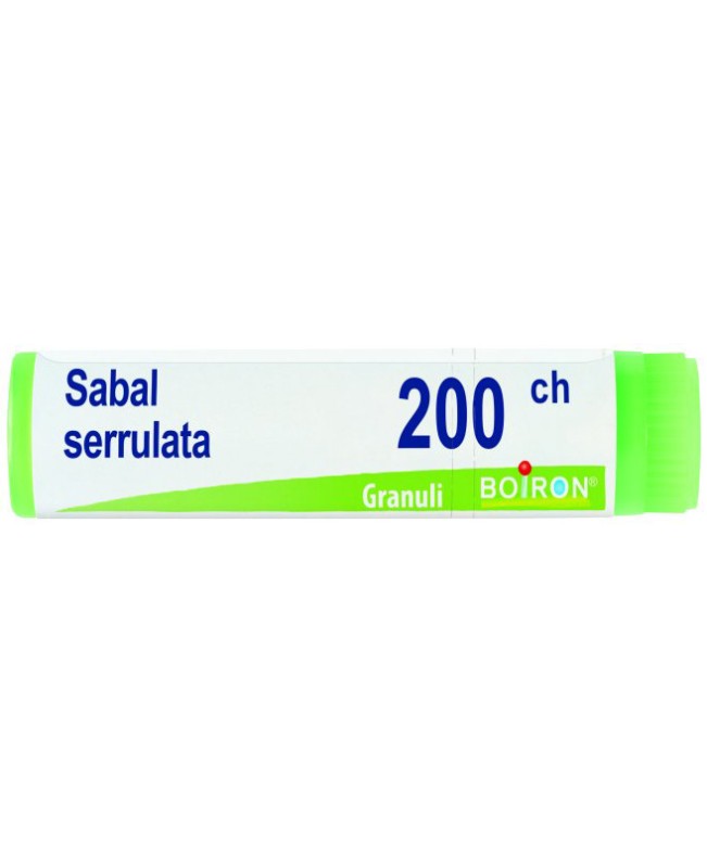 SABAL SERRULATA*GLOB 200CH SABAL SERRULATA*GLOB 200CH