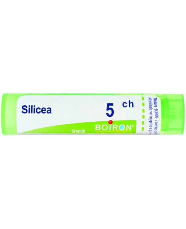 SILICEA*GRAN 5CH SILICEA*GRAN 5CH
