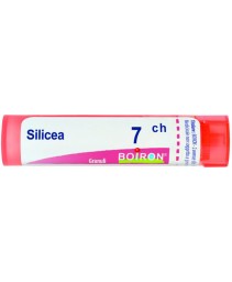 SILICEA*GRAN 7CH