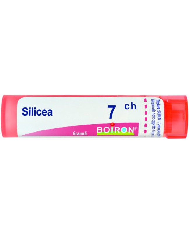 SILICEA*GRAN 7CH SILICEA*GRAN 7CH