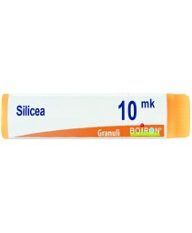 SILICEA*GLOB XMK